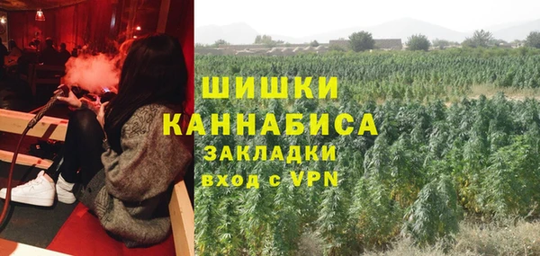 PSILOCYBIN Балахна