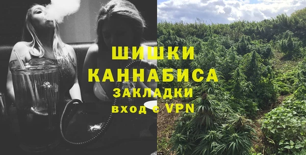PSILOCYBIN Балахна