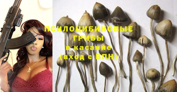 PSILOCYBIN Балахна
