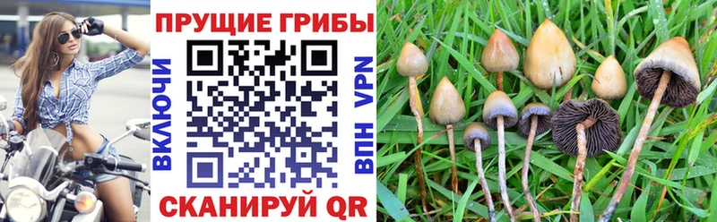 mega рабочий сайт  Верхняя Салда  Псилоцибиновые грибы ЛСД 