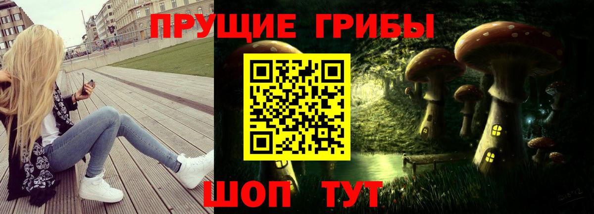 Верхняя Салда  Галлюциногенные грибы прущие грибы  Вход с VPN 
